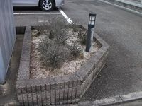 レオパレスエルドラド 庭