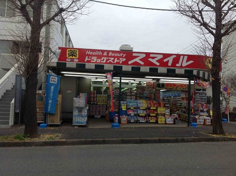 レオネクストブランドールＫ その他