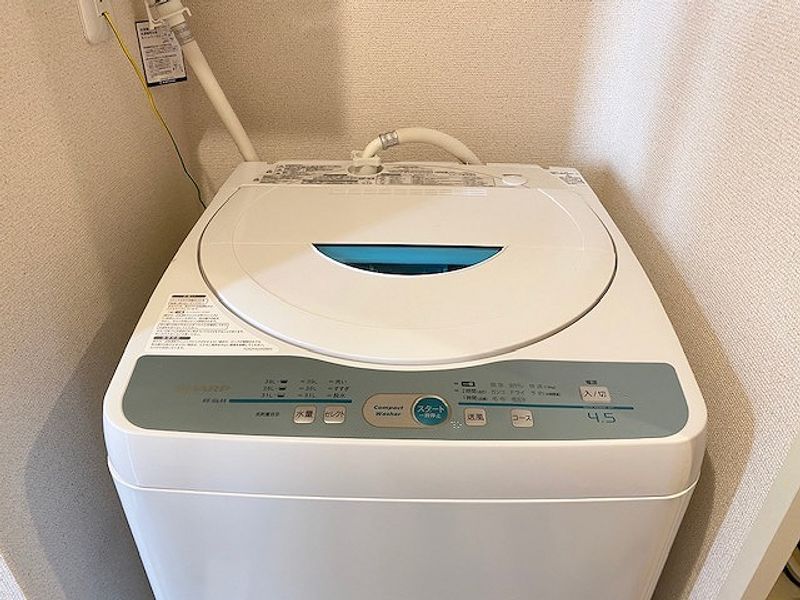 クレイノカトレア その他