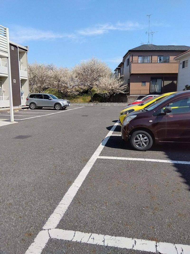 レオネクストブランメゾン 駐車場