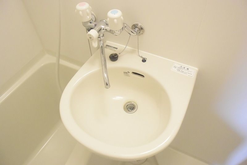 レオネクストプレシャウス 洗面所