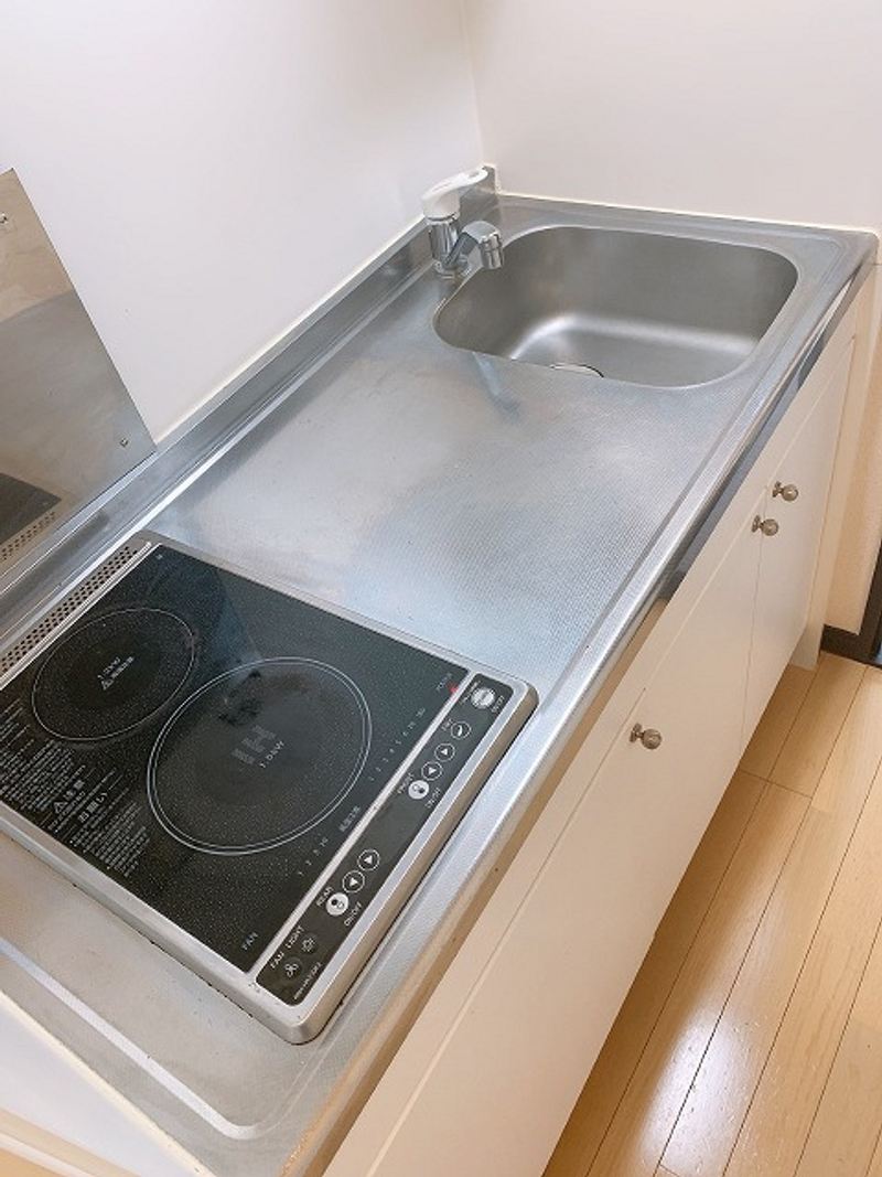 LEONEXT Sakura Godanzaka II Kitchen