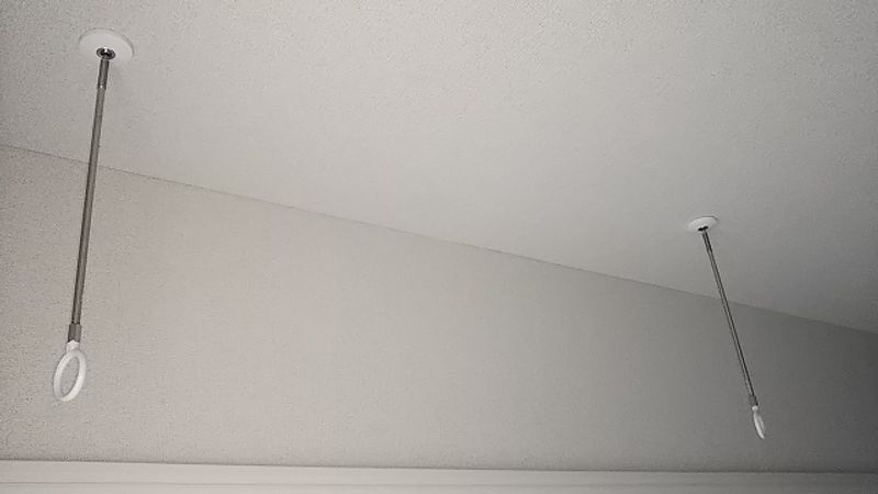 ミランダセレッソサード その他