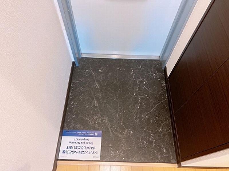 レオネクストめふ 玄関