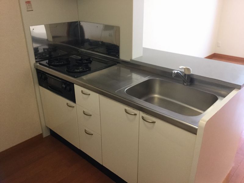 leopalace Lycavitos no Oka 주방