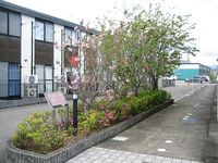 レオパレスシャルマン 共用部分