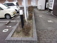 レオパレス中屋敷ソレイユ 庭
