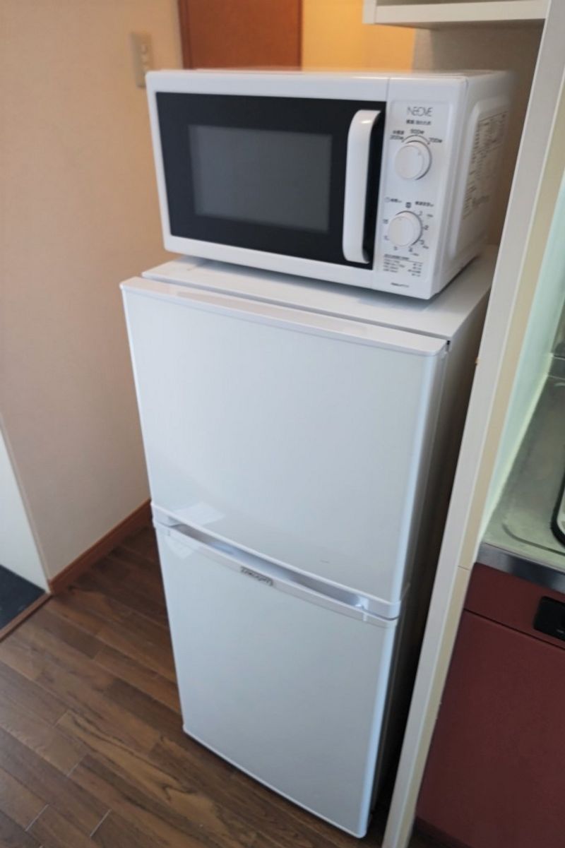レオパレスルース その他