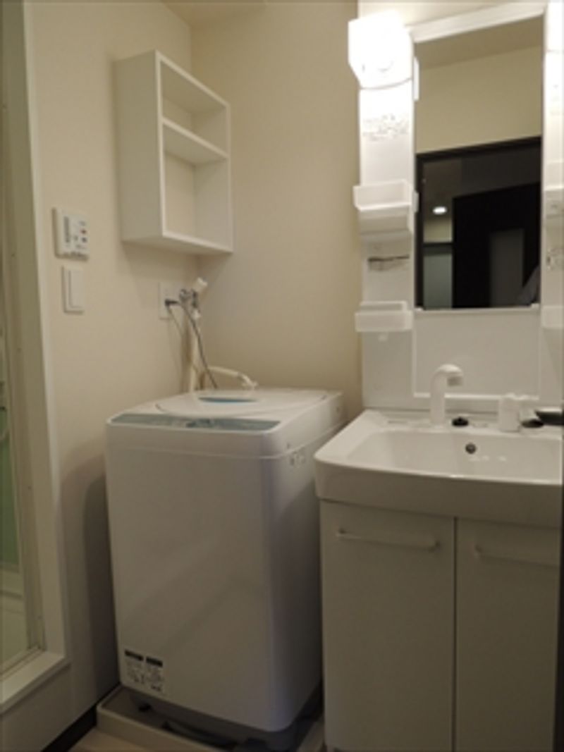 レオネクストマ　ピエス蒲田 洗面台