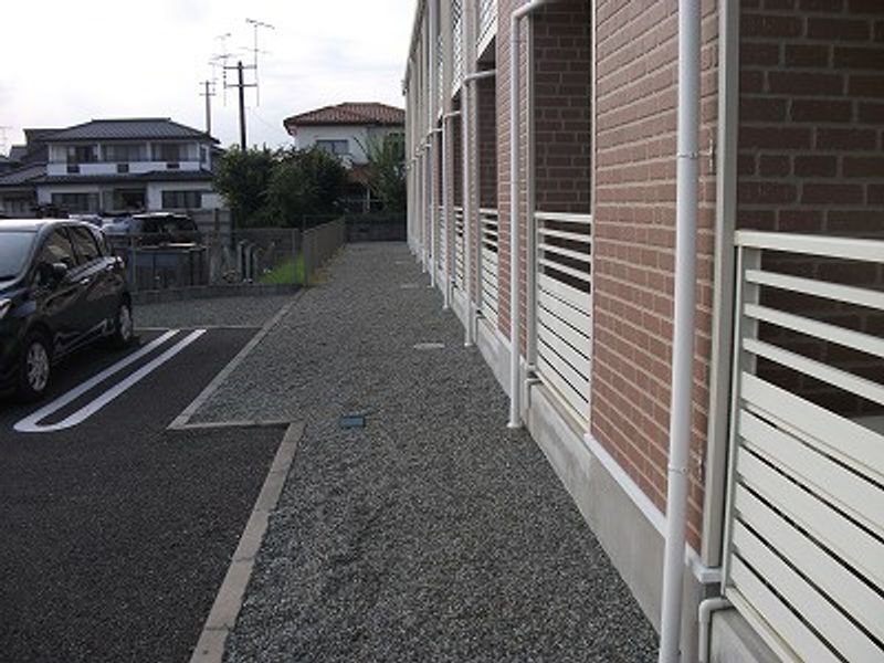 レオネクストルース その他