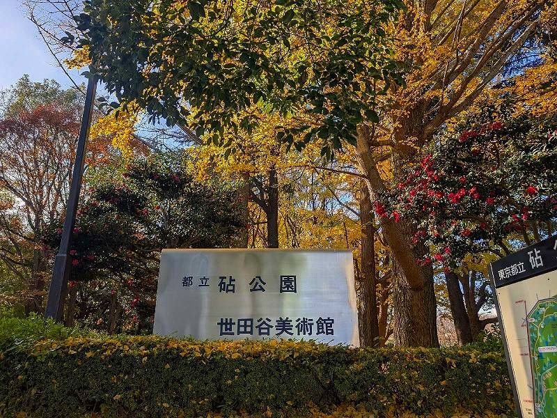 レオパレス砧公園 周辺環境