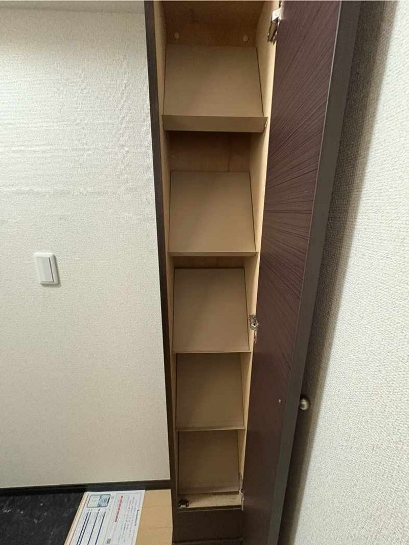 レオネクストアネックス小泉 収納