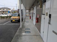 leopalace Pure 기타