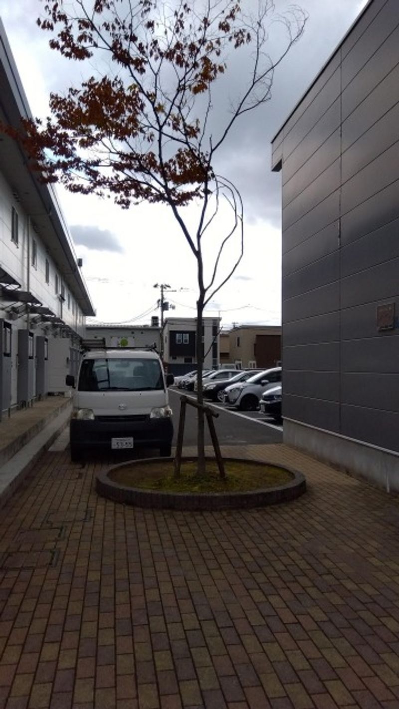レオパレス泉１ 庭