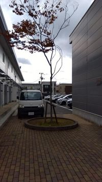 レオパレス泉１ 庭