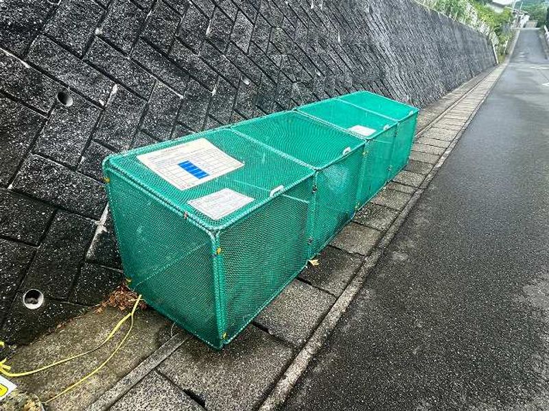 レオネクストゆたか 共用部分