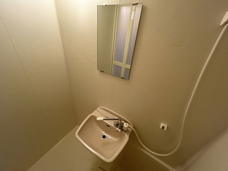 leopalace Fuji Bồn rửa mặt