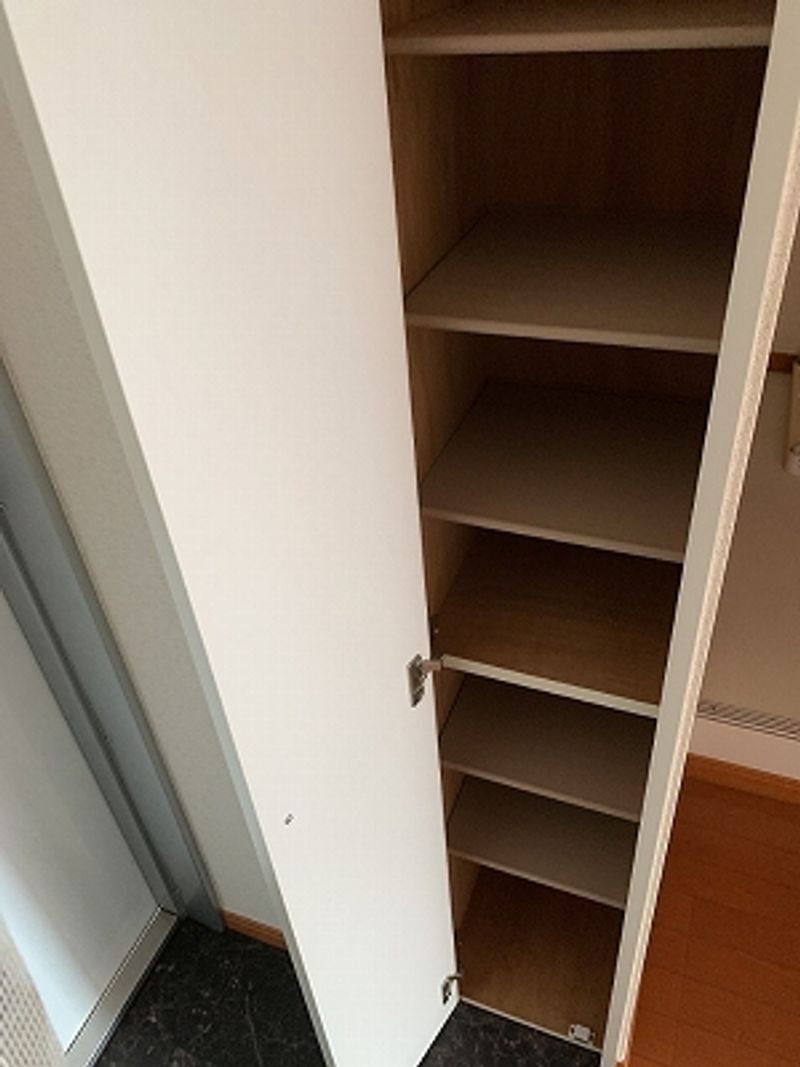 レオパレステリオス その他