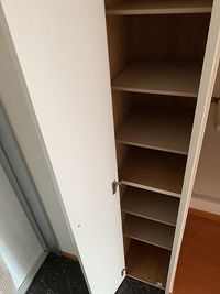 レオパレステリオス その他