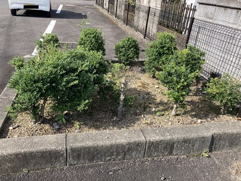 レオパレスクレール黒野 庭