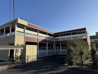 レオネクストリッフェル その他