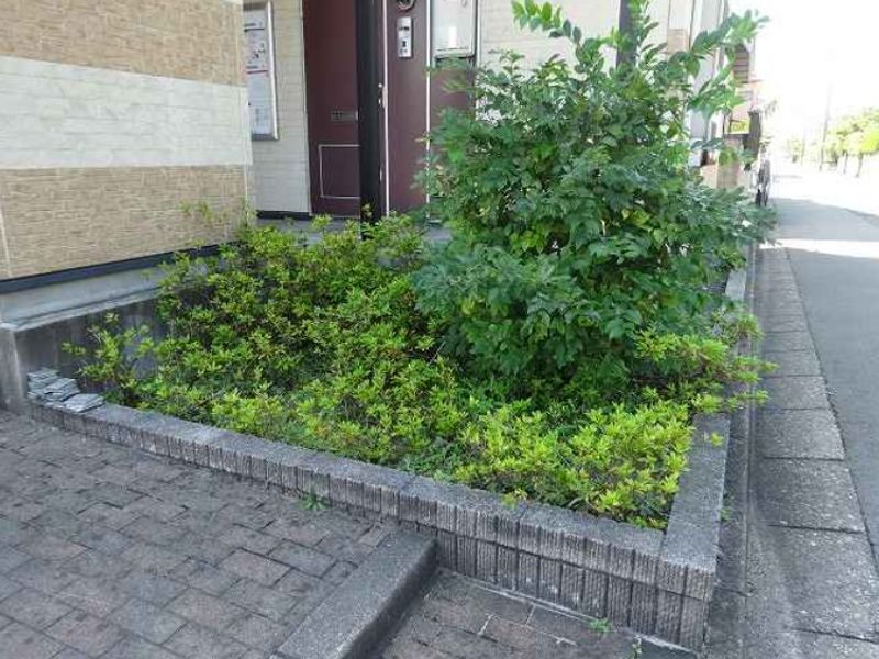 レオパレスメイチョロ千代田町 庭