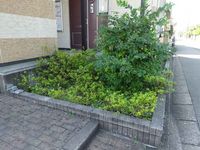 レオパレスメイチョロ千代田町 庭