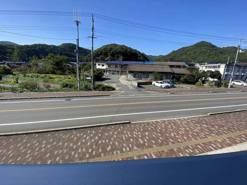 クレイノファレノプシス 周辺環境
