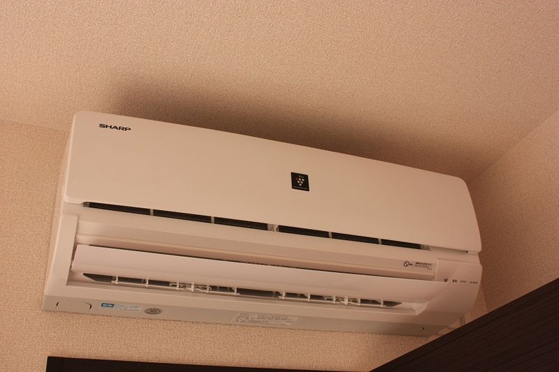 レオネクストエトワール その他