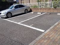 レオネクストエスペランサⅡ 駐車場