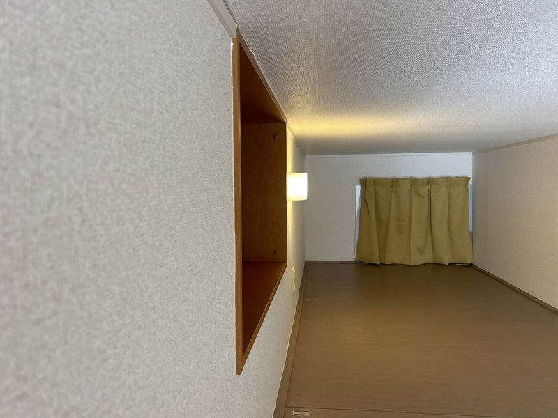 レオパレスピーヌス その他