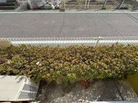 レオパレスパーク バルコニー