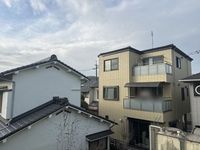 leopalace Hikari 视野