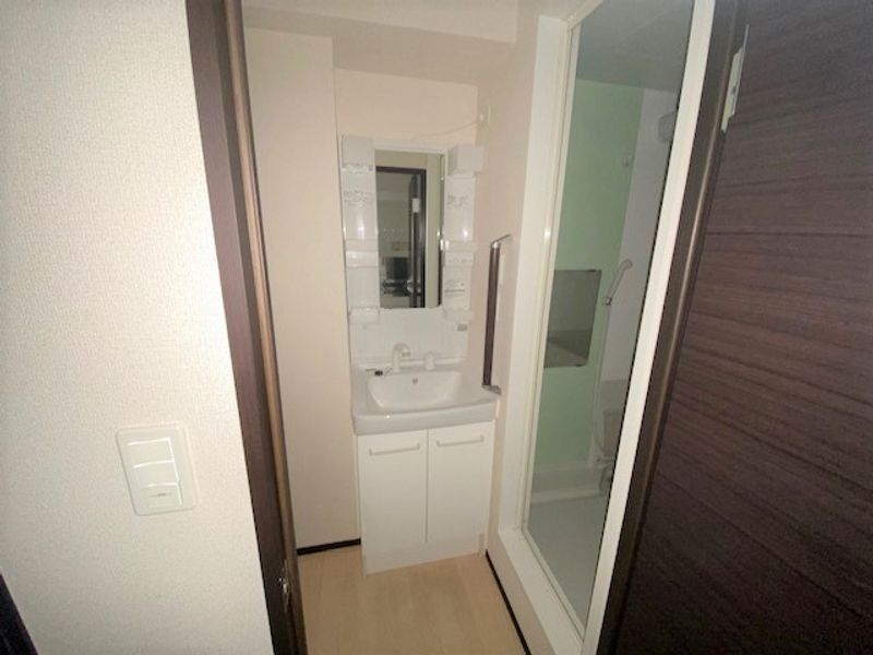 レオネクストシェソワ 洗面台