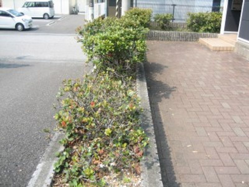 レオパレスエクレール福井 共用部分