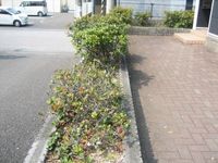 レオパレスエクレール福井 共用部分