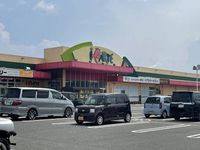 レオネクストサマア 周辺環境