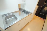 レオネクストサニーコート河原 玄関