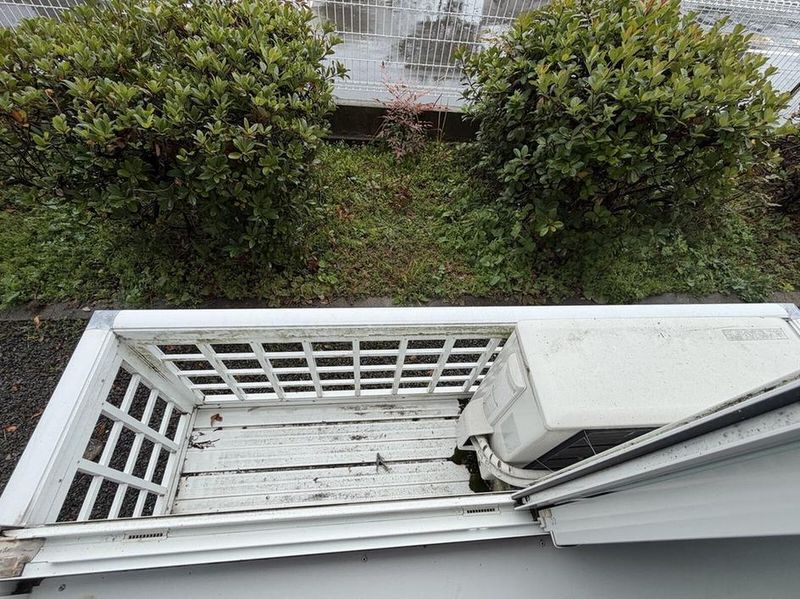 leopalace WISTERIA 阳台