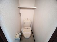 レオネクストブルーリッジⅡ トイレ