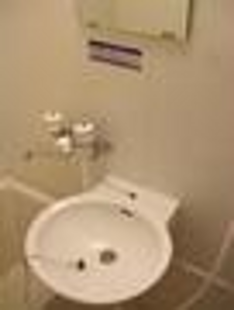 レオパレスＧｒｅｅｎｗｏｏｄⅢ 洗面台