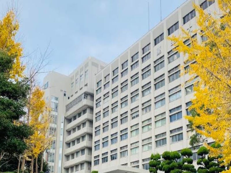 レオネクストゆたか 周辺環境