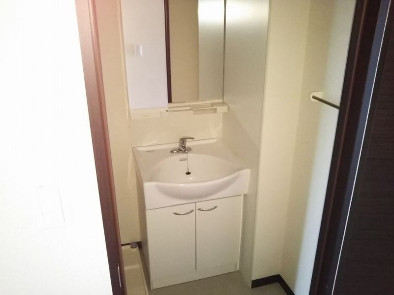 レオネクストミント 洗面所