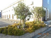 レオパレスメルベーユ 庭