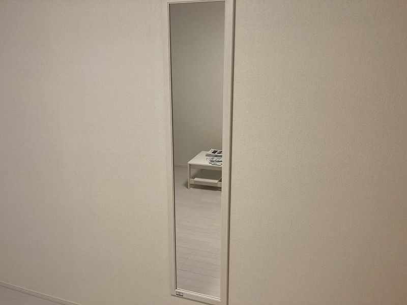 レオネクストグッド　ハッシー その他