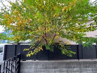 レオパレスＬＯＲＥＡ 眺望