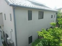 LEONEXT Koganei Park 视野