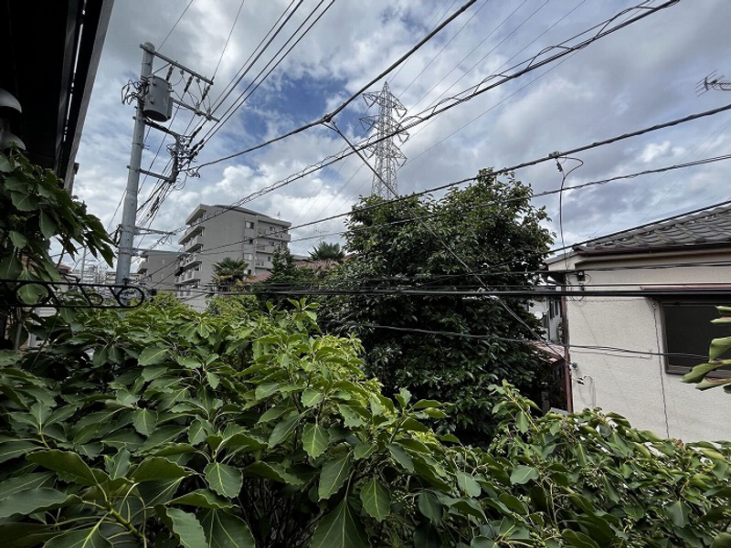 leopalace Bolero Khác