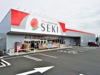 レオネクストユニオン 周辺環境