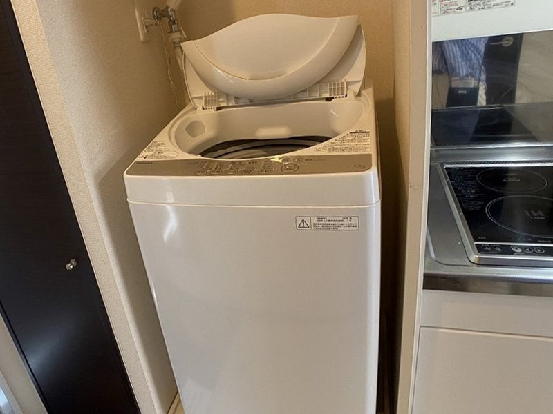 クレイノカトレア その他